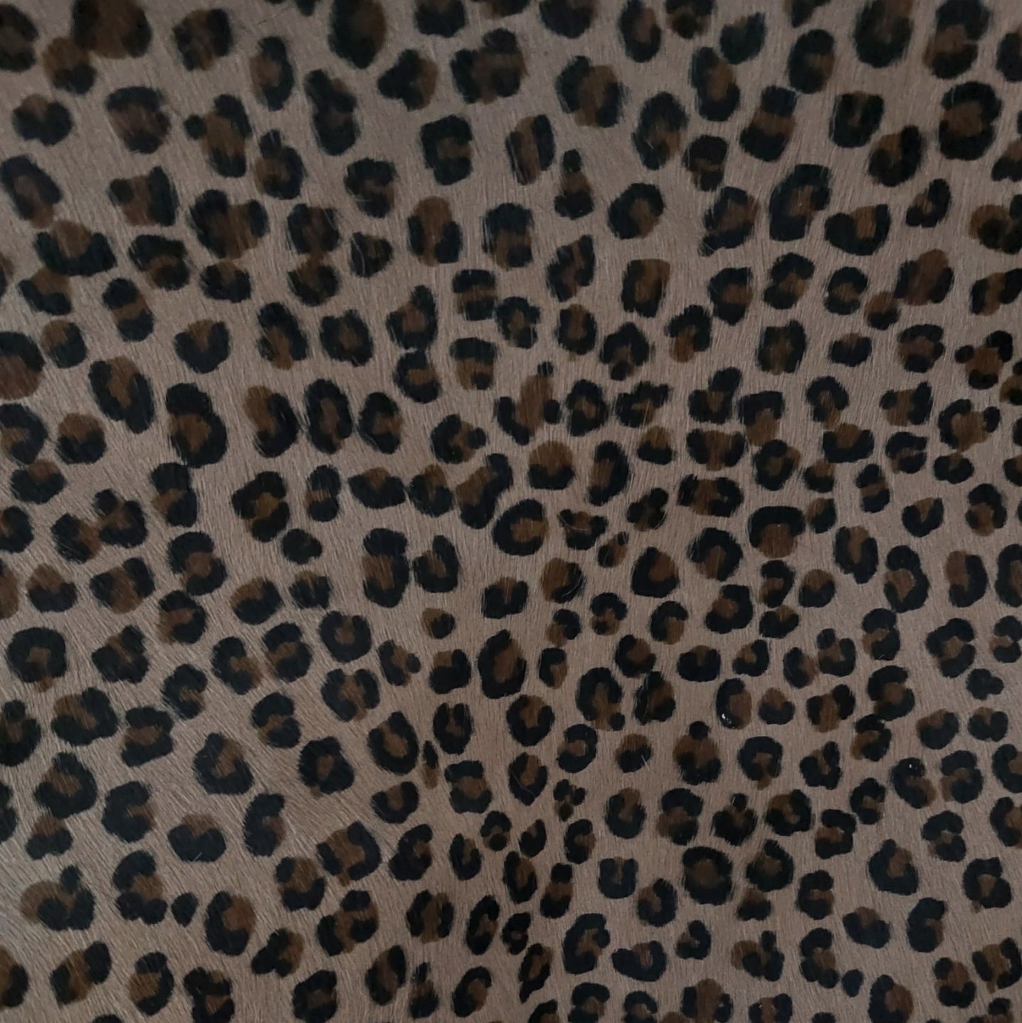 LEO FONDO BEIGE